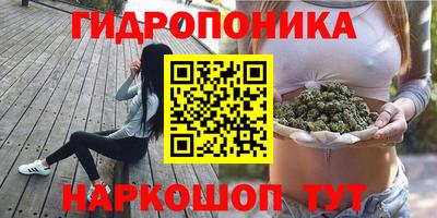 ГАЛЛЮЦИНОГЕННЫЕ ГРИБЫ Ипатово