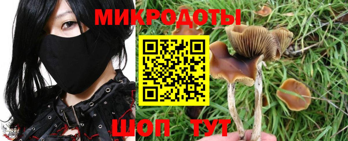 Галлюциногенные грибы ЛСД  Галлюциногенные грибы Magic Shrooms  Вход с VPN  Михайловка 