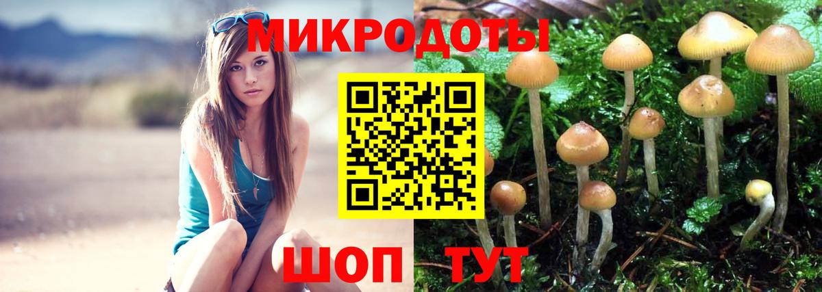 Псилоцибиновые грибы MAGIC MUSHROOMS Михайловка